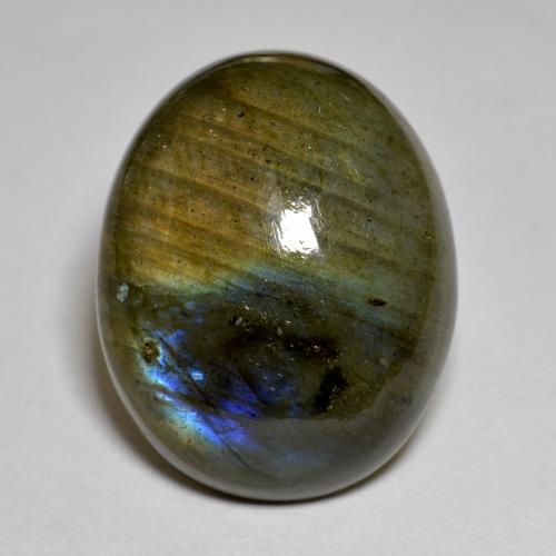 Labradorite Multicolore naturelle Coupe ovale, 22.64 ct, Opaque