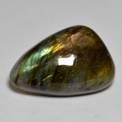 Labradorite multicolore naturelle forme fantaisie, 15,44 ct, opaque