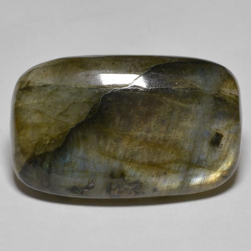 Labradorite multicolore naturelle coupe coussin, 26,00 ct, translucide