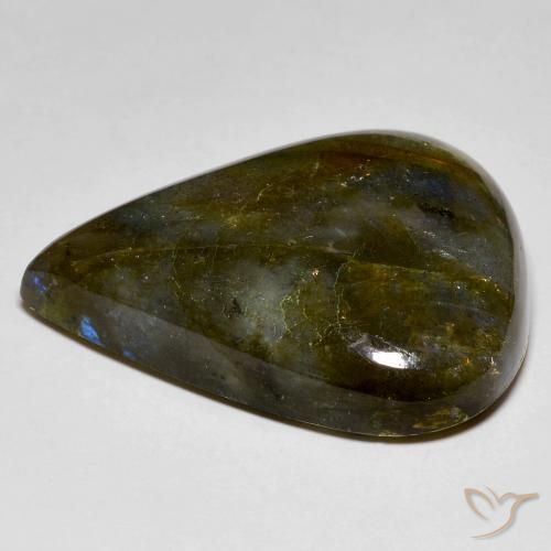 Labradorite Multicolore naturelle En forme de poire, 40.89 ct, Opaque