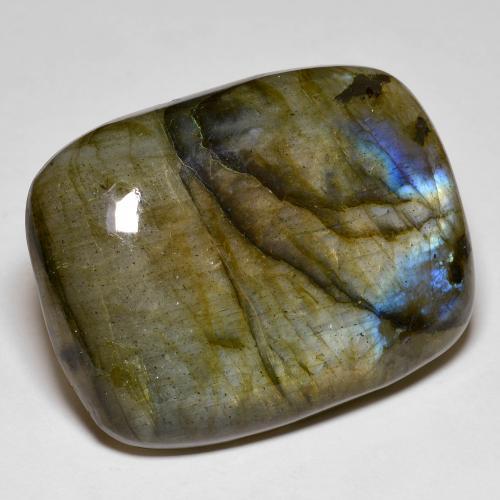 Labradorite multicolore naturelle coupe coussin, 52,60 ct, opaque