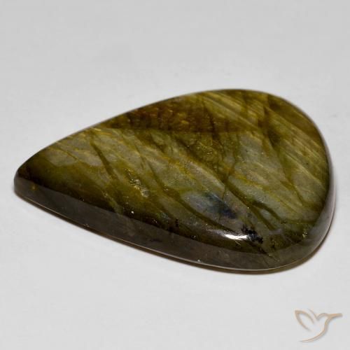 Labradorite Multicolore naturelle En forme de poire, 50.39 ct, Opaque