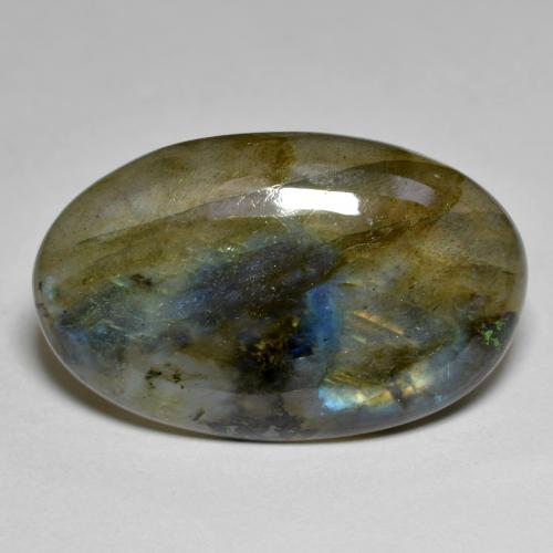 Labradorite multicolore naturelle coupe ovale, 15,47 ct, translucide