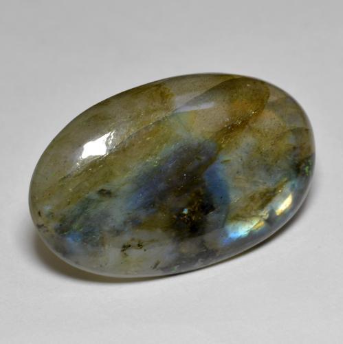 Labradorite multicolore naturelle coupe ovale, 15,47 ct, translucide