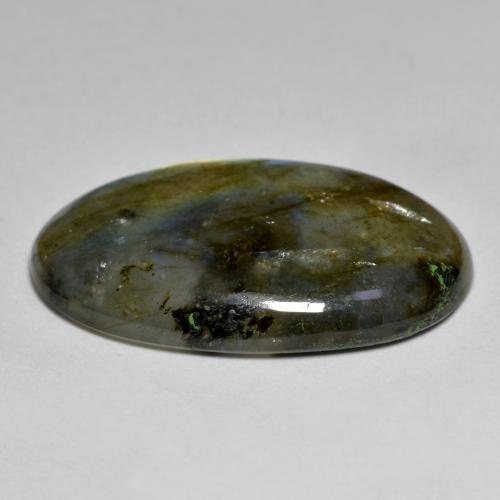 Labradorite multicolore naturelle coupe ovale, 15,47 ct, translucide