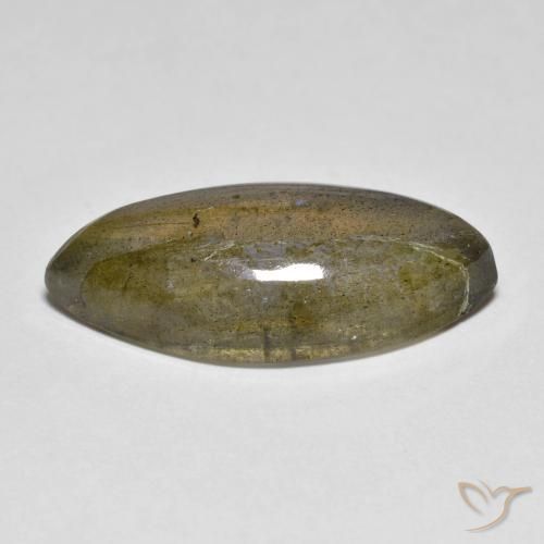 Labradorite Multicolore naturelle Marquise, 9.96 ct, Translucide