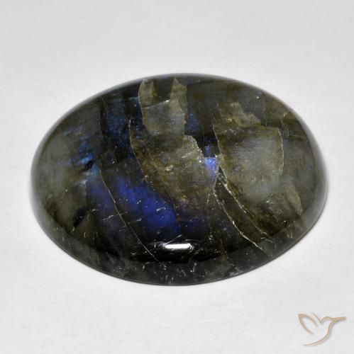 Labradorite Multicolore naturelle Tour, 31.27 ct, Translucide