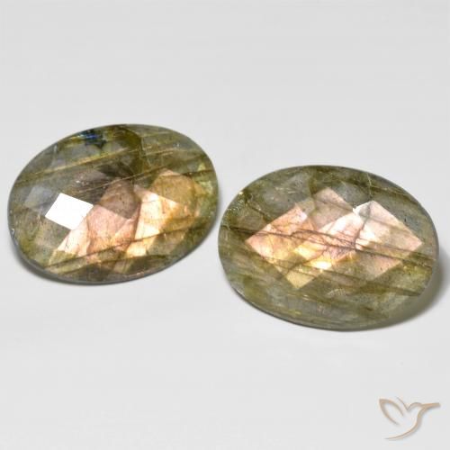 31.65ctw Naturel Multicolore Labradorite, ovale, Translucide