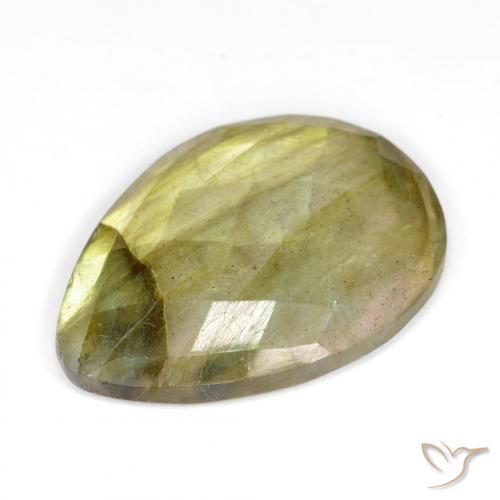 Labradorite Multicolore naturelle En forme de poire, 10.67 ct, Translucide