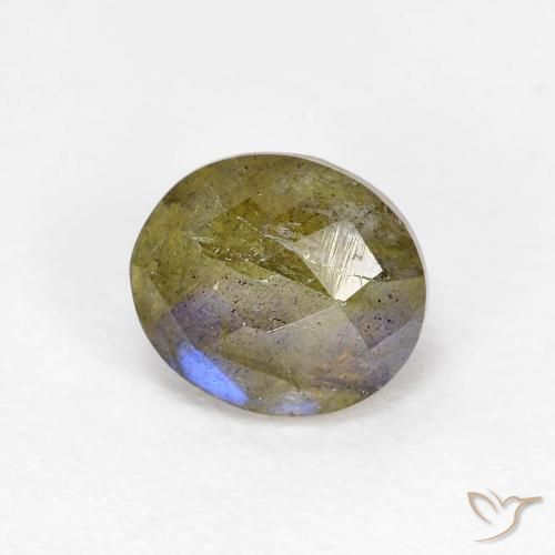 Labradorite Multicolore naturelle ovale, 1.31 ct, Translucide