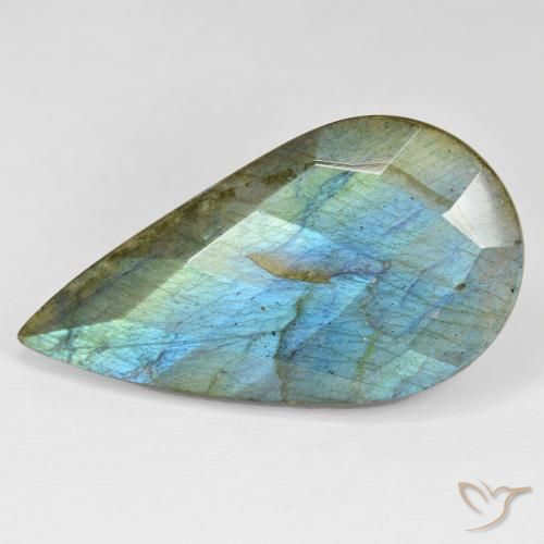Labradorite Multicolore naturelle En forme de poire, 35.49 ct, Opaque