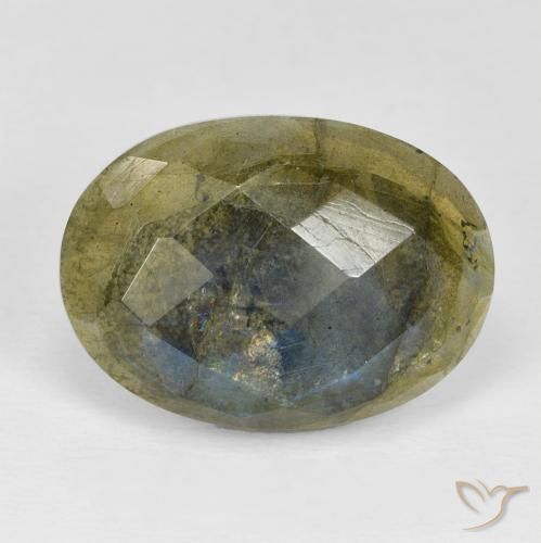 16.89ct Naturel Multicolore Labradorite, ovale, Opaque