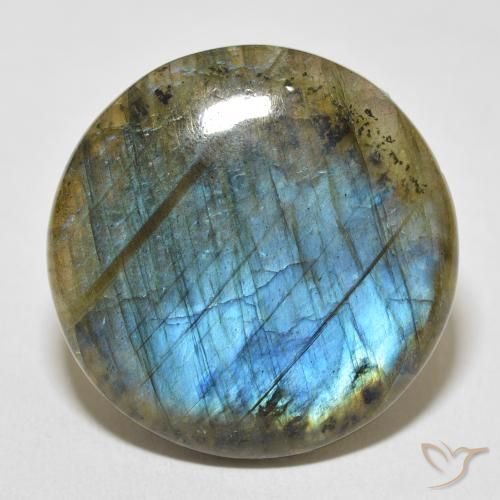 31.18ct Naturel Multicolore Labradorite, Tour, Opaque