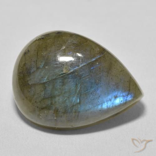 Labradorite Multicolore naturelle En forme de poire, 16.66 ct, Translucide