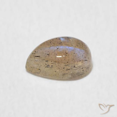 Labradorite Multicolore naturelle En forme de poire, 0.56 ct, Translucide