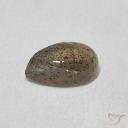 Labradorite Multicolore naturelle En forme de poire, 0.58 ct, Translucide