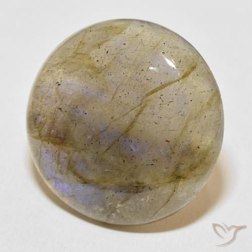 Labradorite Multicolore naturelle Tour, 30.47 ct, Translucide