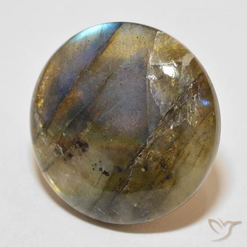 Labradorite Multicolore naturelle Tour, 33.96 ct, Translucide
