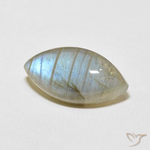 Labradorite Multicolore naturelle Marquise, 9.87 ct, Translucide