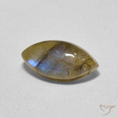 Labradorite Multicolore naturelle Marquise, 2.54 ct, Translucide