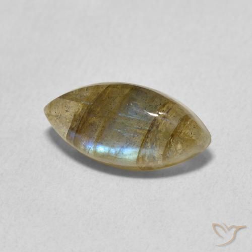 Labradorite Multicolore naturelle Marquise, 2.54 ct, Translucide