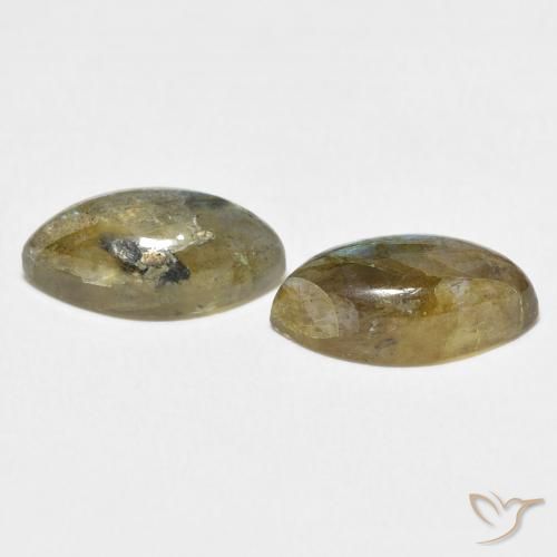 Shop natural 7.70ct Multicolore Labradorite gems, Marquise, from Madagascar at GemSelect. In stock, global shipping!