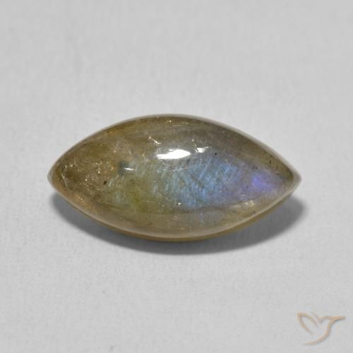 5.13ct Naturel Multicolore Labradorite, Marquise, Translucide