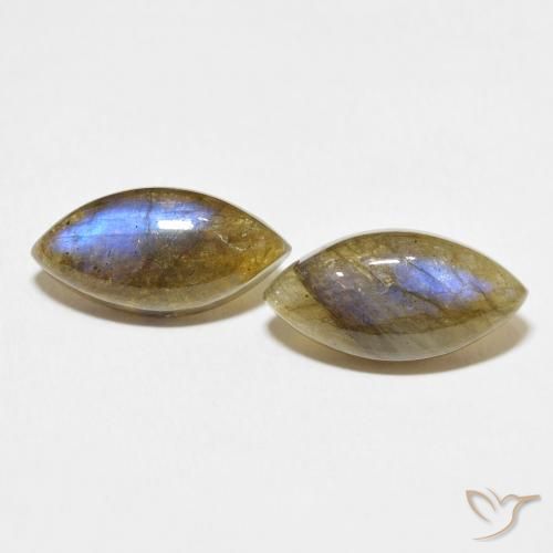 9.23ctw Naturel Multicolore Labradorite, Marquise, Translucide