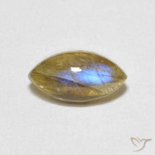 1.44ct Naturel Multicolore Labradorite, Marquise, Translucide