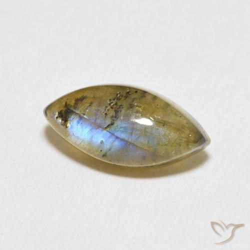 Labradorite Multicolore naturelle Marquise, 3.64 ct, Translucide
