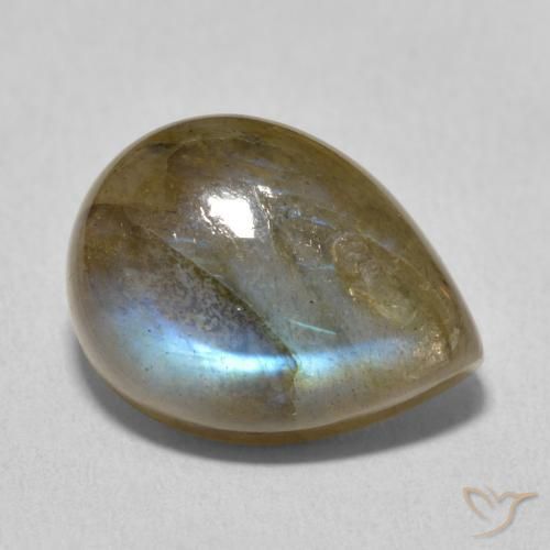 Labradorite Multicolore naturelle En forme de poire, 10.14 ct, Translucide