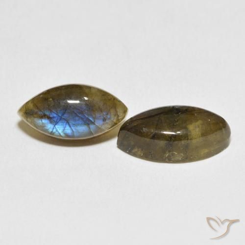 Shop natural 11.07ct Multicolore Labradorite gems, Marquise, from Madagascar at GemSelect. In stock, global shipping!