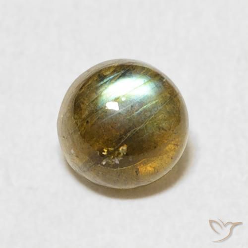 1.10ct Naturel Multicolore Labradorite, Tour, Translucide