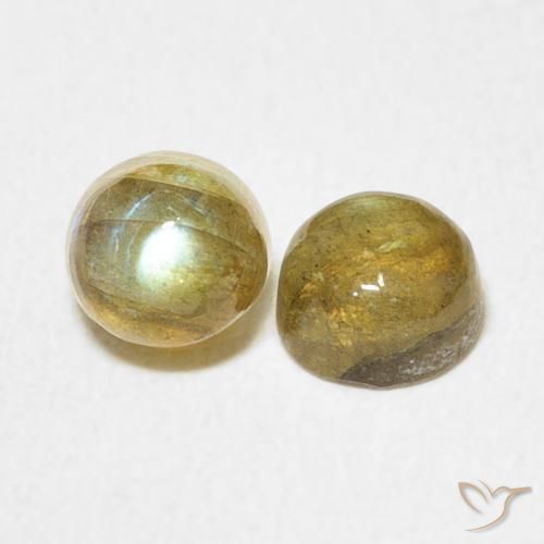 Shop natural 1.49ct Multicolore Labradorite gems, Tour, from Madagascar at GemSelect. In stock, global shipping!
