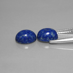 Achetez naturel ct bleue lapis-lazuli gems, coupe ovale, en provenance afghanistan chez gemselect. en stock, livraison internationale!