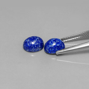 Achetez naturel ct bleue lapis-lazuli gems, coupe ovale, en provenance afghanistan chez gemselect. en stock, livraison internationale!