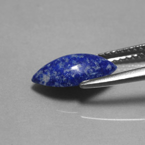 Lapis-lazuli bleue naturelle marquise, 1,60 ct, opaque