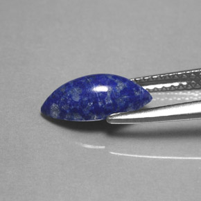 Lapis-lazuli bleue naturelle marquise, 1,54 ct, opaque