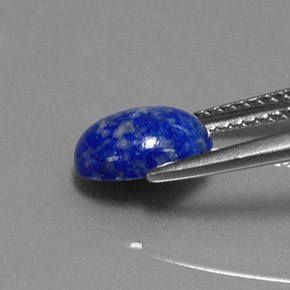 Lapis-lazuli bleue naturelle coupe ovale, 1,67 ct, opaque