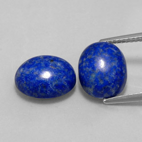 Achetez naturel ct bleue lapis-lazuli gems, coupe ovale, en provenance afghanistan chez gemselect. en stock, livraison internationale!