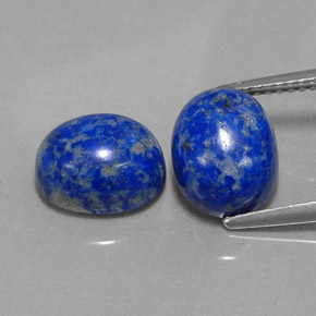 Achetez naturel ct bleue lapis-lazuli gems, coupe ovale, en provenance afghanistan chez gemselect. en stock, livraison internationale!