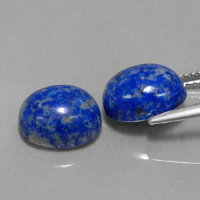 Achetez naturel ct bleue lapis-lazuli gems, coupe ovale, en provenance afghanistan chez gemselect. en stock, livraison internationale!