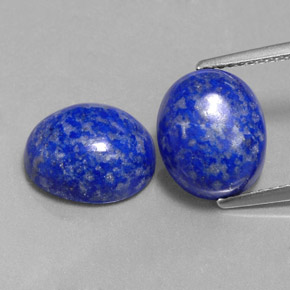 Achetez naturel ct bleue lapis-lazuli gems, coupe ovale, en provenance afghanistan chez gemselect. en stock, livraison internationale!
