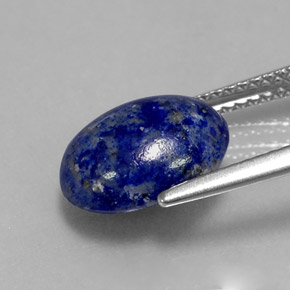 Lapis-lazuli bleue naturelle coupe ovale, 3,49 ct, opaque