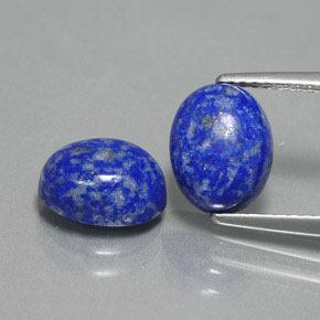 Achetez naturel ct bleue lapis-lazuli gems, coupe ovale, en provenance afghanistan chez gemselect. en stock, livraison internationale!