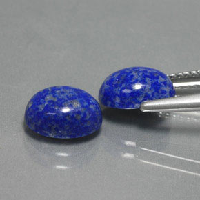 Achetez naturel ct bleue lapis-lazuli gems, coupe ovale, en provenance afghanistan chez gemselect. en stock, livraison internationale!