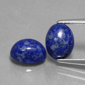 Achetez naturel ct bleue lapis-lazuli gems, coupe ovale, en provenance afghanistan chez gemselect. en stock, livraison internationale!