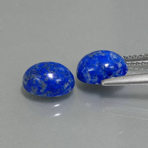Achetez naturel ct bleue lapis-lazuli gems, coupe ovale, en provenance afghanistan chez gemselect. en stock, livraison internationale!