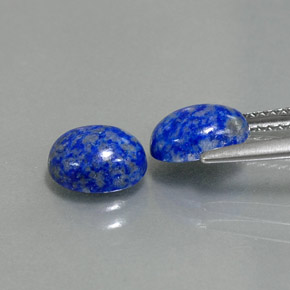 Achetez naturel ct bleue lapis-lazuli gems, coupe ovale, en provenance afghanistan chez gemselect. en stock, livraison internationale!