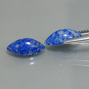 Achetez naturel ct bleue lapis-lazuli gems, marquise, en provenance afghanistan chez gemselect. en stock, livraison internationale!